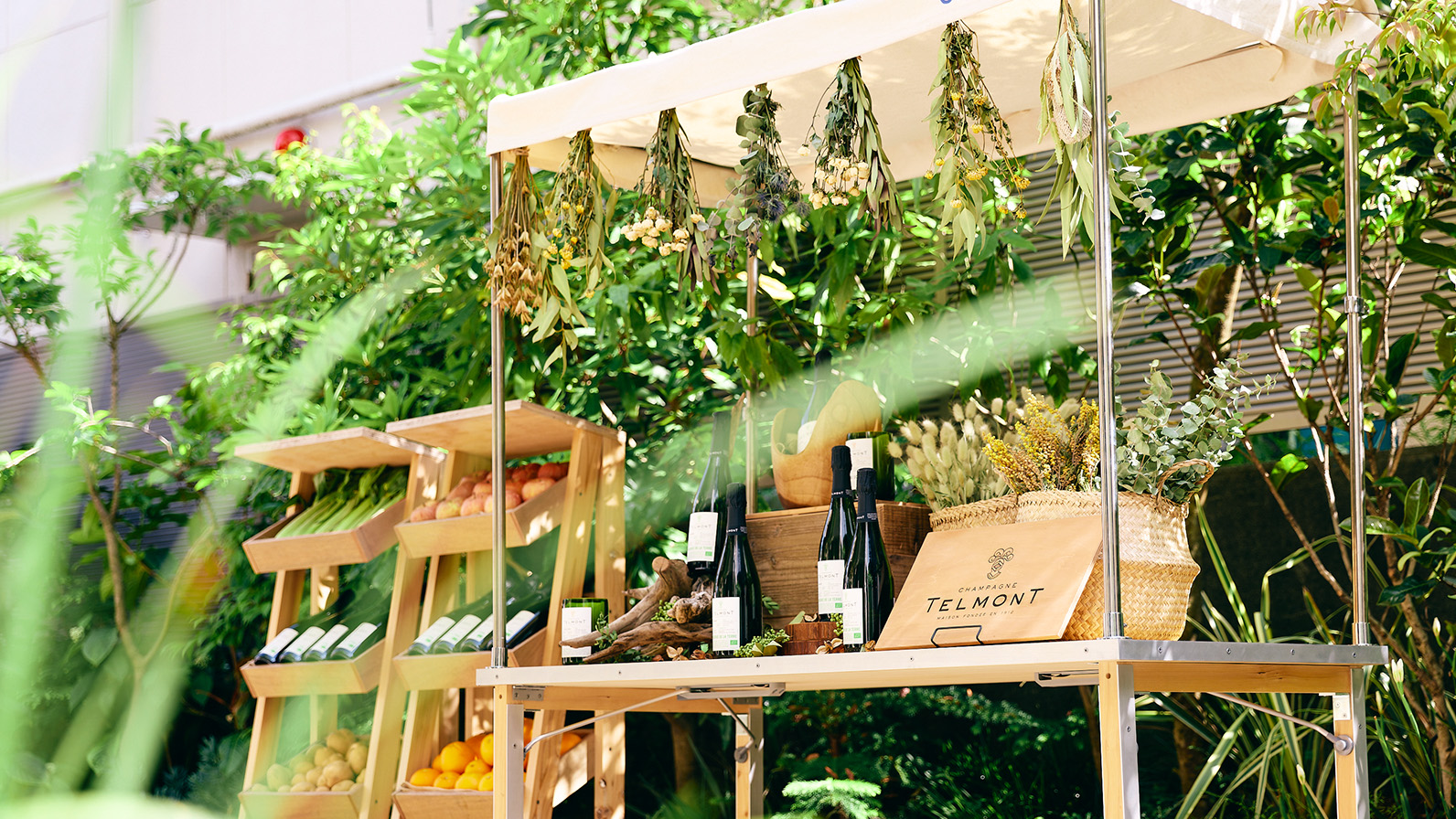 オーガニックシャンパンTELMONT RÉSERVE DE LA TERRE 009