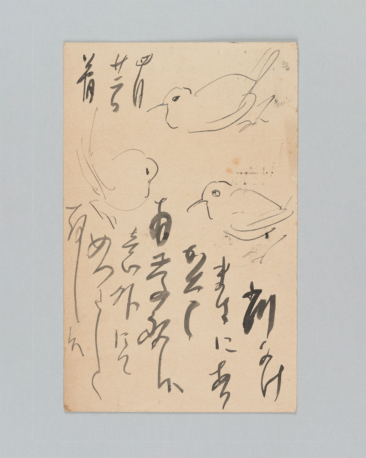 The World of 111 Postcards: Expressed Sentiments and Captivating Charm ...